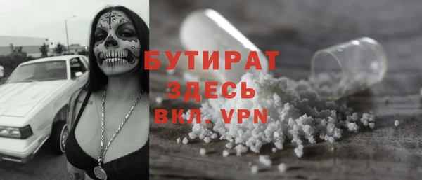 шишки Инта