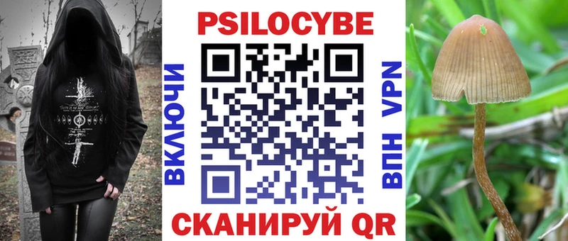 кракен tor  Приморск  Псилоцибиновые грибы GOLDEN TEACHER 